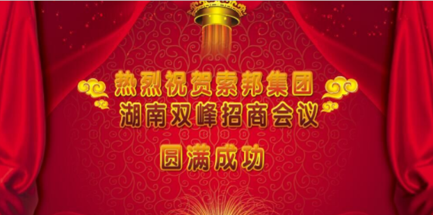 热烈庆祝湖南双峰营销峰会圆满成功