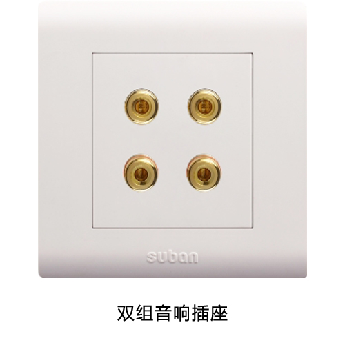 双组音响插座